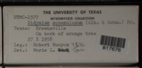 Image Associated With the Occurence